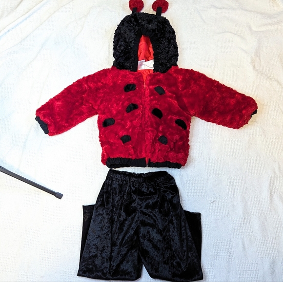 Halloween Ladybug costume - Picture 1 of 5